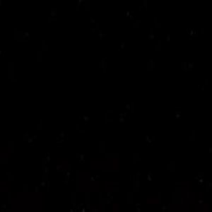 Meet your Posher, Phillip